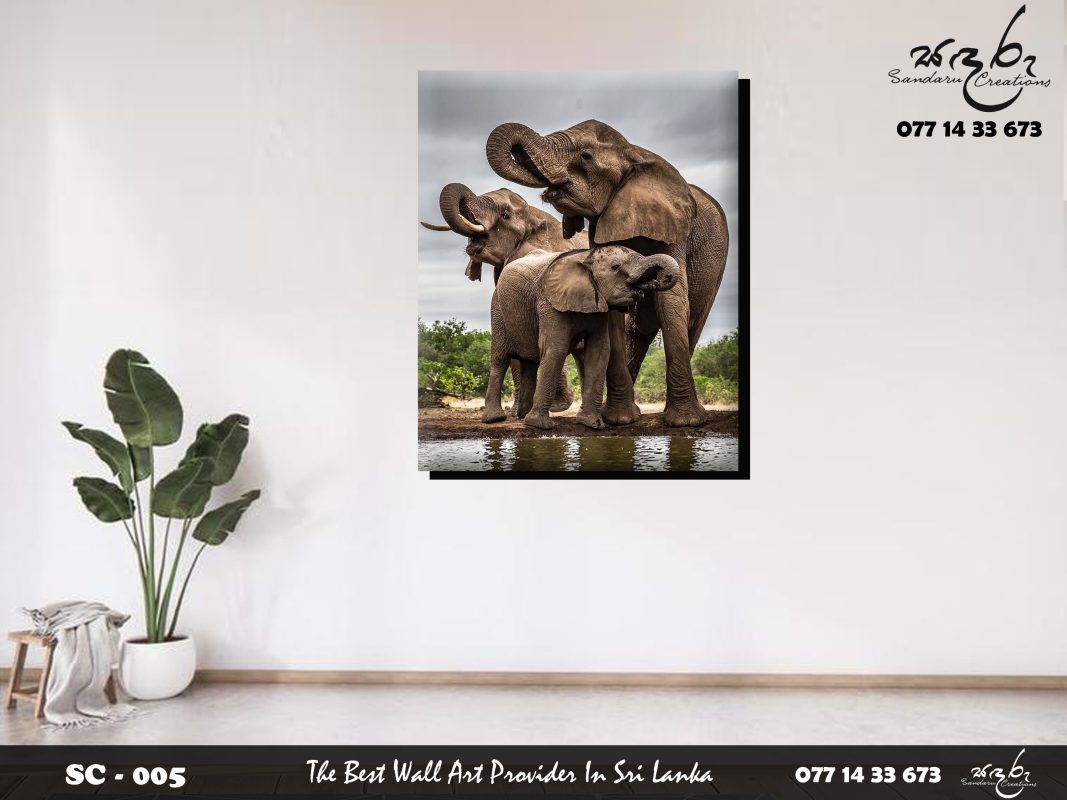 Sandaru Creation 005