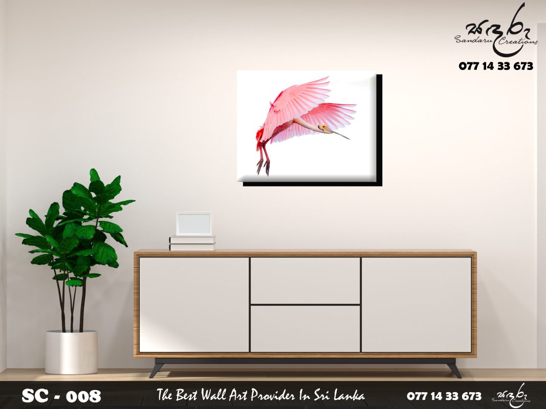 Sandaru Creation 008